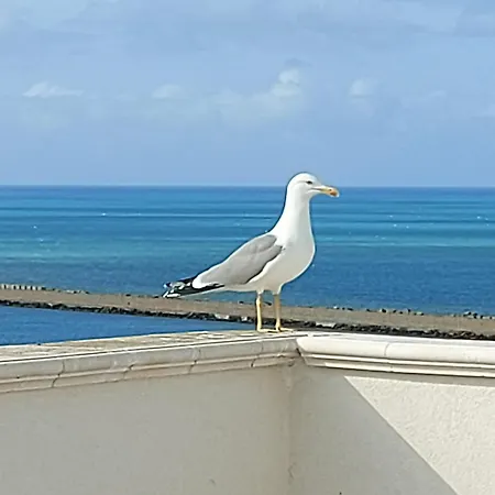 Sikelia Rooftop *